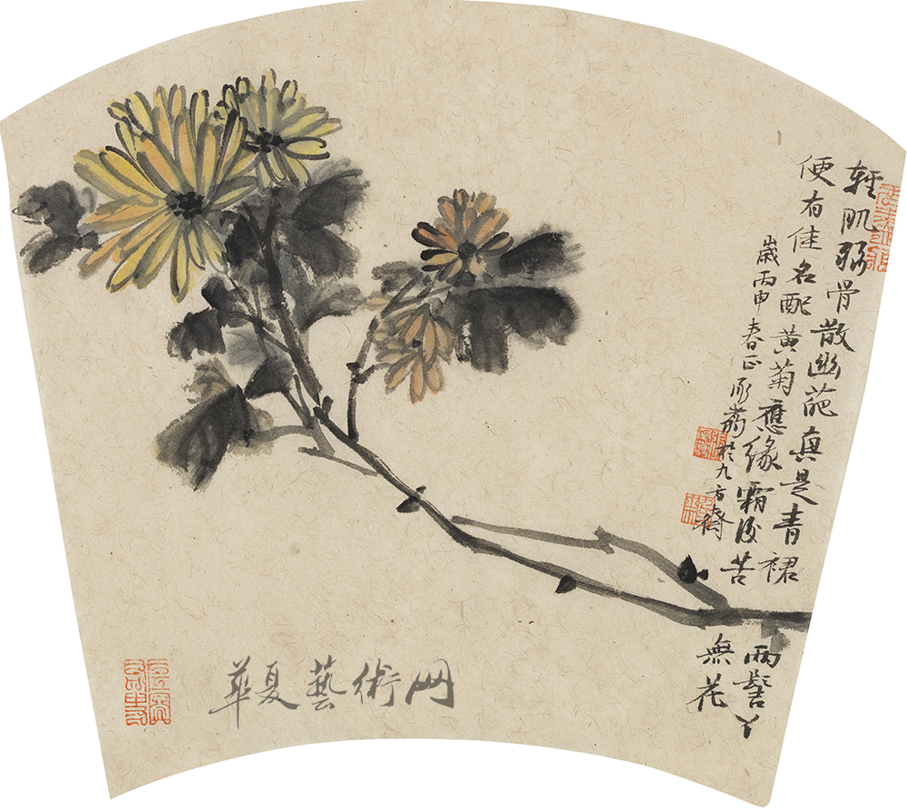 寒菊图